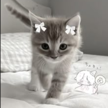 lukablox